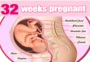 khám thai tuần 32