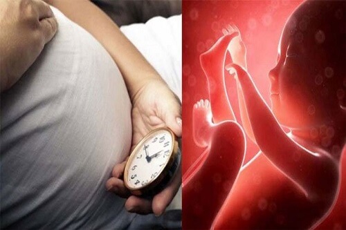 Tại sao mẹ bầu nên theo dõi thai máy